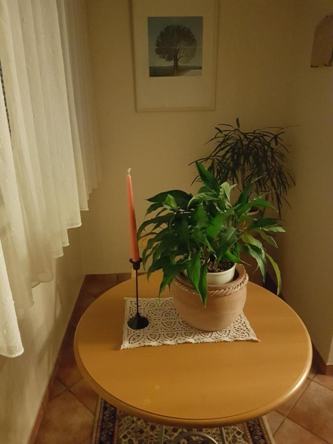 In Zentrumsnaehe Beim Hauptbahnhof Apartament *