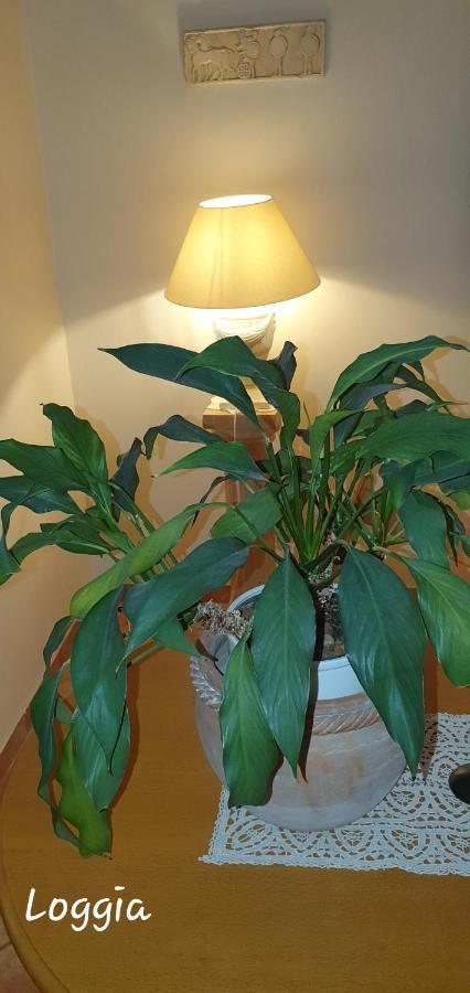 In Zentrumsnaehe Beim Hauptbahnhof Apartament