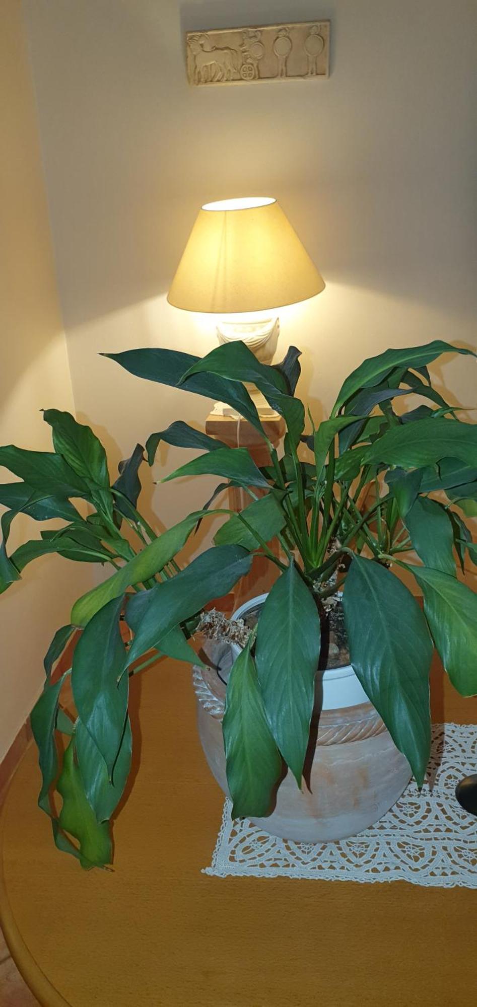 In Zentrumsnaehe Beim Hauptbahnhof Apartament Viena